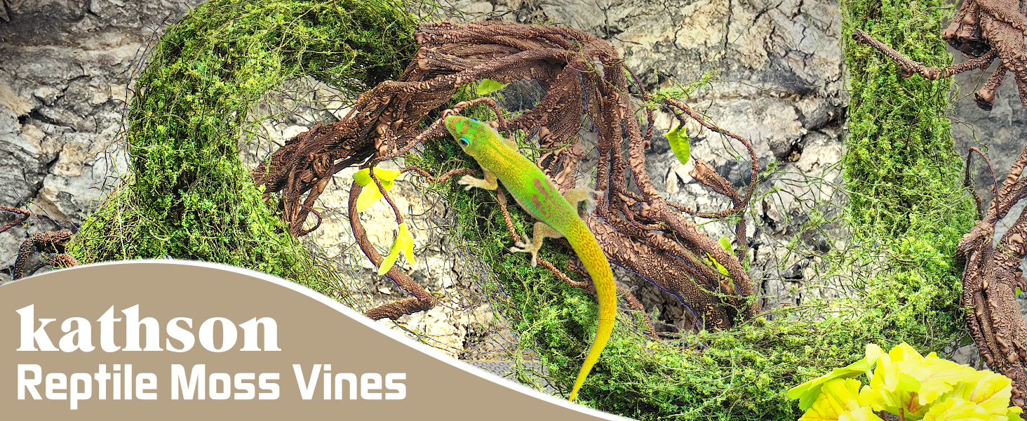 climbing vines for reptile tank