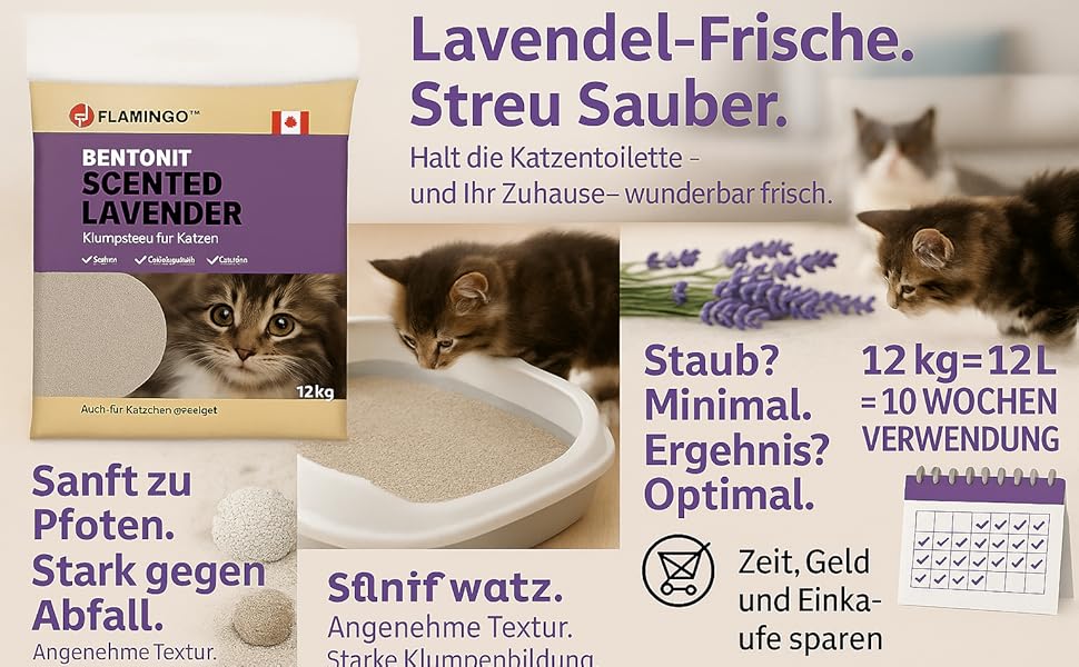 Aplus-Inhaltsbild