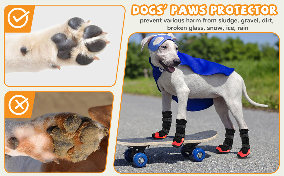 dog boots & paw protectors
