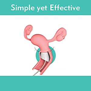 Simple & Effective of V conceive