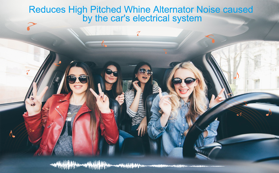 Ground Loop Isolator RCA,ZDMYY Noise Filter for Car Audio