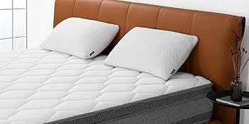 king mattress molblly king mattress king memory foam mattress