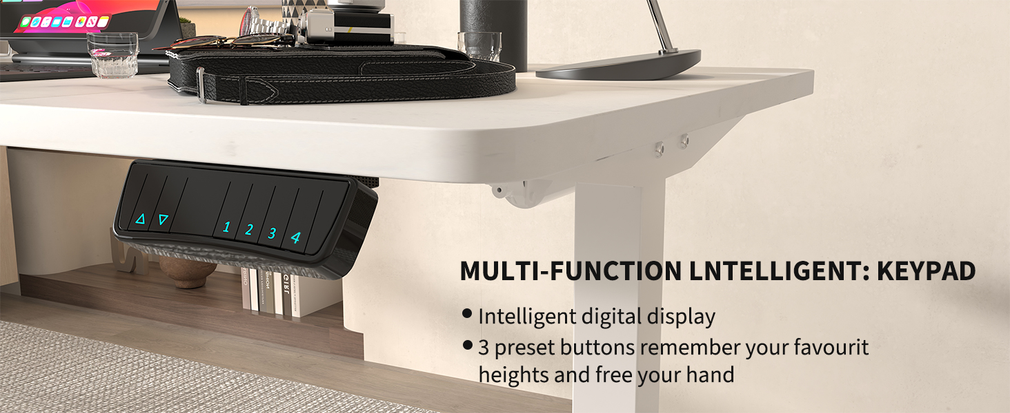 Monomi Height Adjustable Electric Standing Desk, 55 x 28