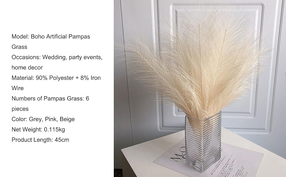 erba colorata della pampa