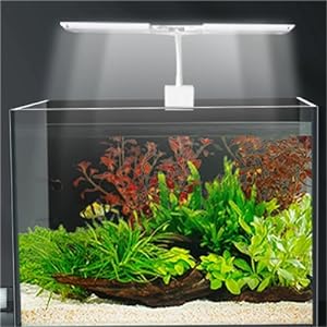 aquarium light 