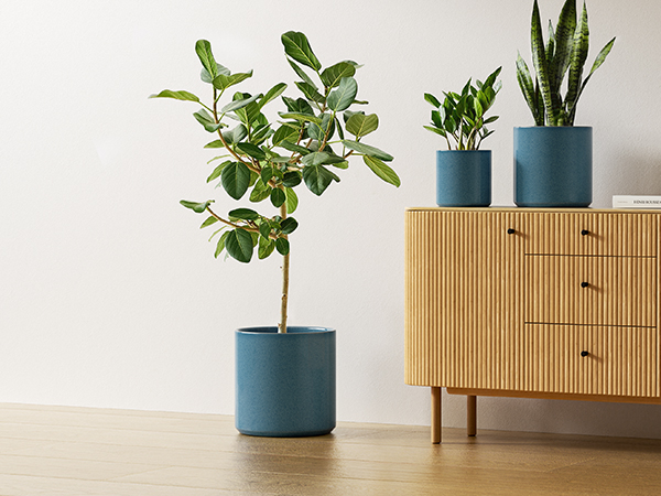 Amazon.com : LE TAUCI Ceramic Plant Pots Indoor, 10+8+6 Inch