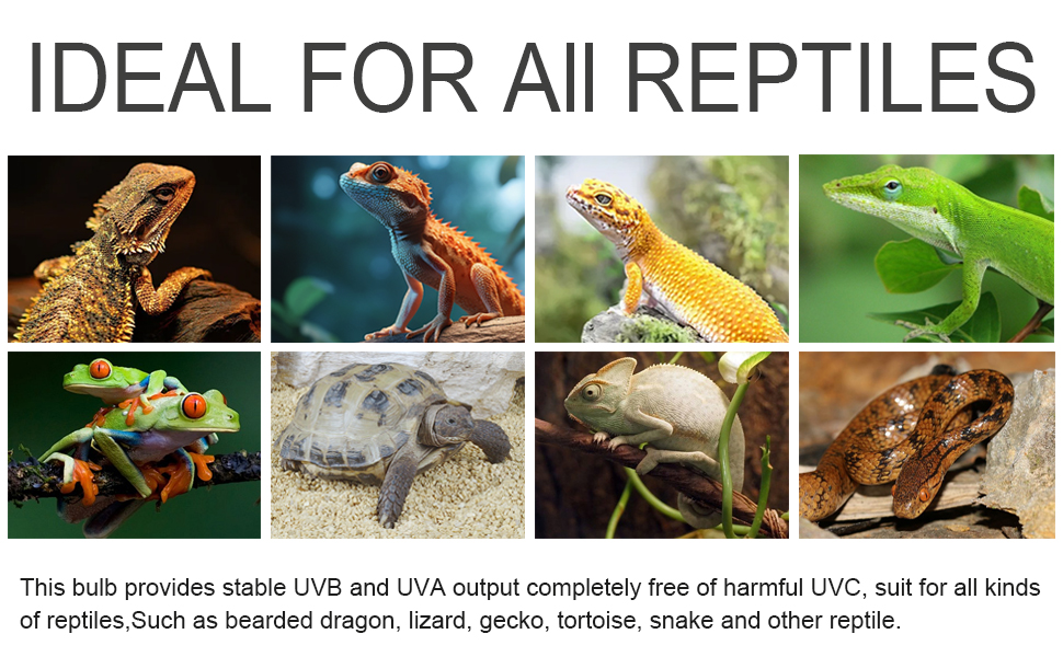 uvb bulbs for reptiles, uvb light for reptiles