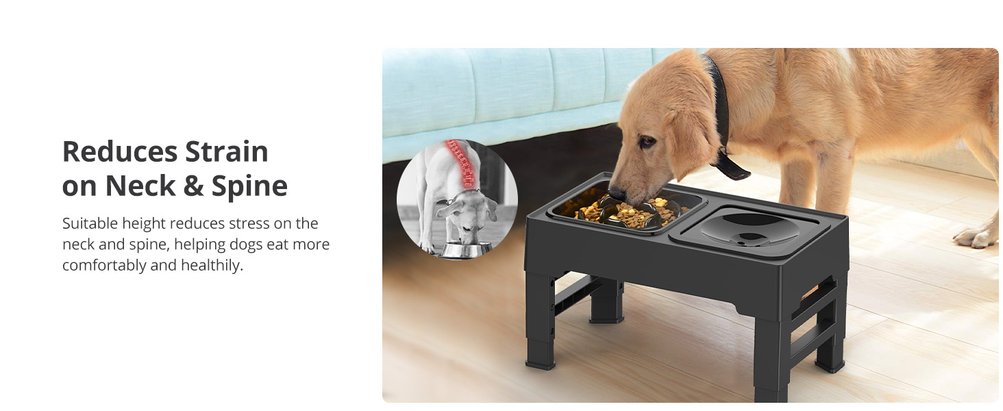 Petace Raised Slow Feeder Dog Bowls, Elevated Dog Bowl with 4 Heights