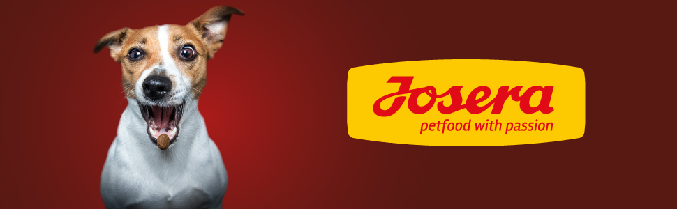 Josera Aliment complet sans gluten pour chiens pour chiens âgés
