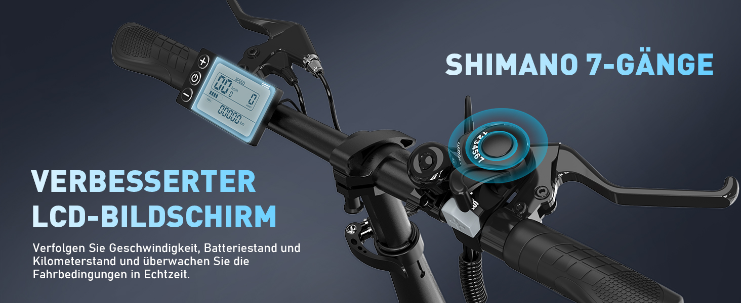 e bike