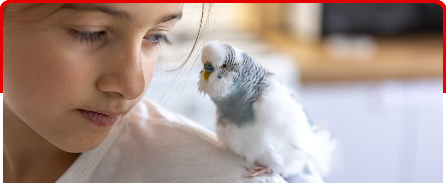 bird vitamins calcium for birds bird vitamins for water 