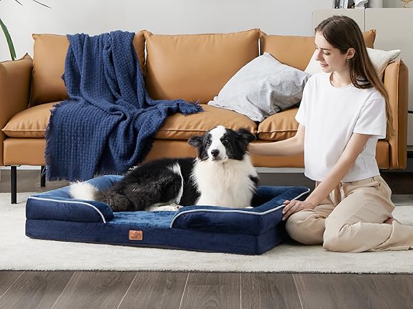 dog bed5