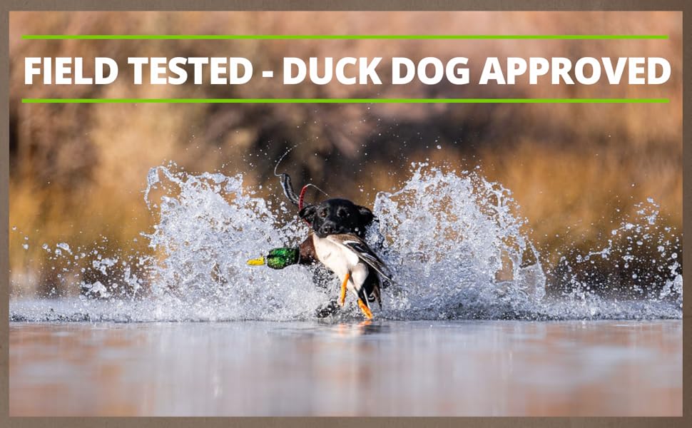 duck hunting, black lab with mallard duck, waterfowl hunter duck call hunting gear calls commander