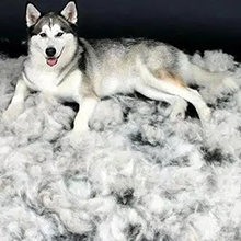 purifier for pet dender