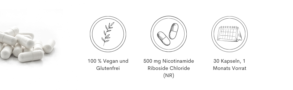 vegan glutenfrei 500 mg Niotinamide Roboside Chloride