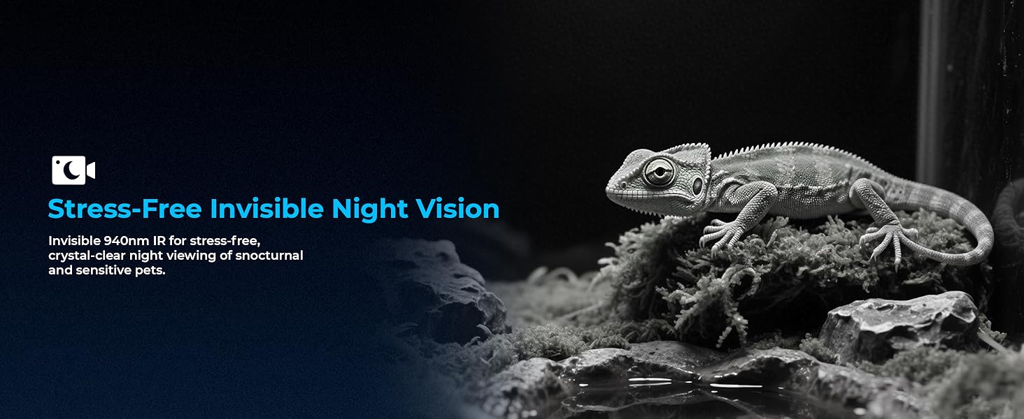 Night vision