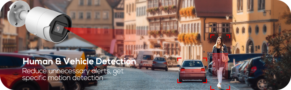 Human & Vehicle Detection
