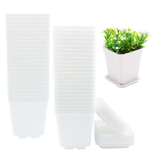 Nursery Pots with Saucers