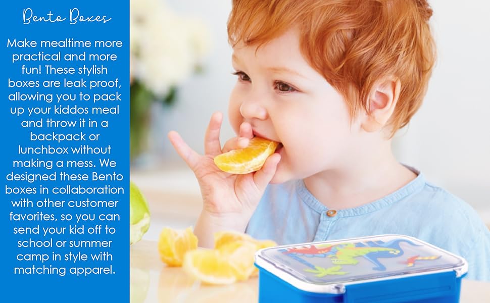 Stephen Joseph Bento Box, Kids Adjustable Compartment Bento Box, Kids Bento Box