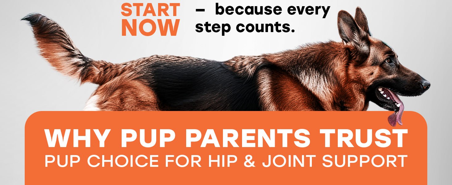 made in usa form premium ingredients, natural, non-gmo, green lipped mussels, HYALURONIC ACID beef