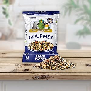 gourmet parrot