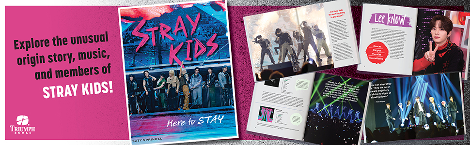 Stray Kids - Stray Kids Hi STAY パンフレット Stray Kids Hi STAY パンフレット