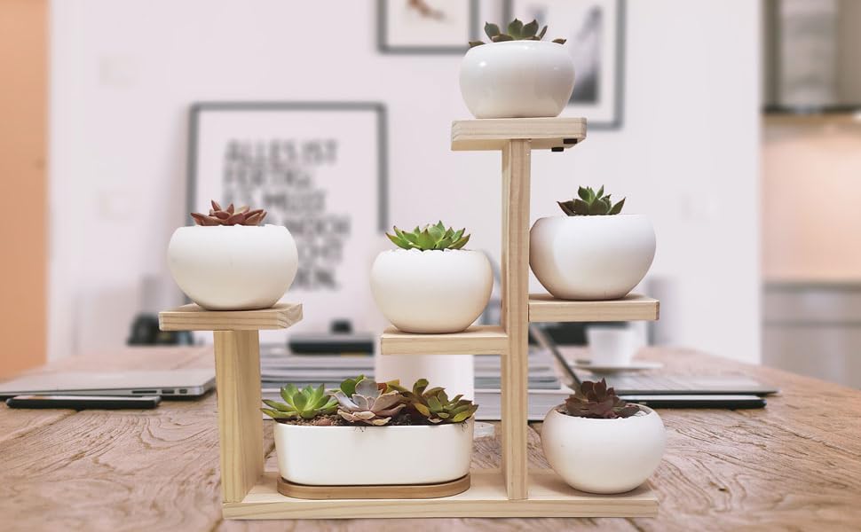 Decoeco Wooden Desktop Plant Stand Indoor Windowsill Plant