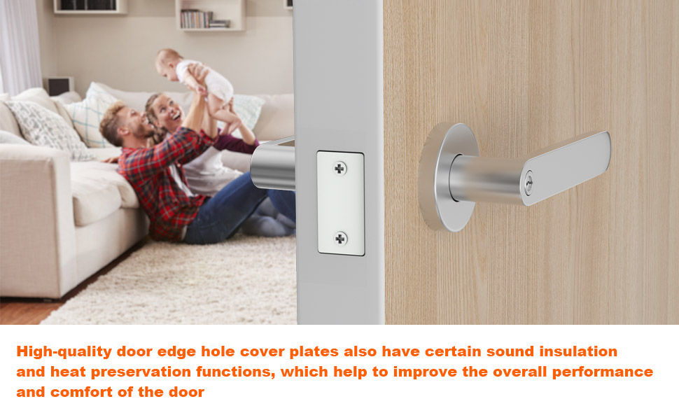 Door Edge Hole Filler Plate，Door Hole Cover，11/8 × 21/4 in Deadbolt