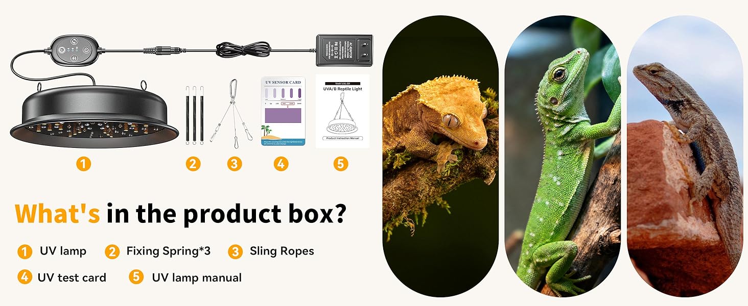 Reptile Light Fixture