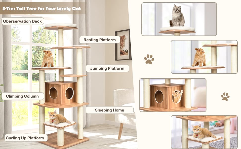 Cat Tree