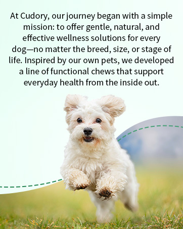 flea and tick chews for dogs