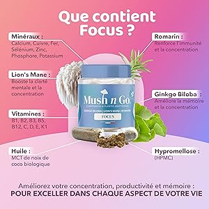 lions mane cordyceps lion's mane nootropique criniere de lion chaga bio ahcc mucuna pruriens