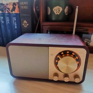 LYLIFON OLD RADIO SPEAKER