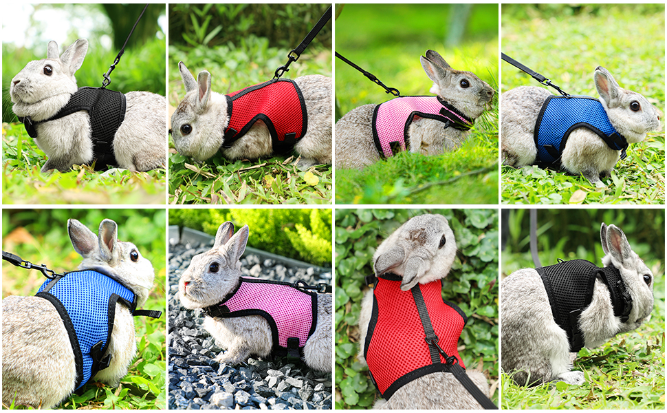Pettom Bunny Rabbit Harness with Stretchy Leash Cute