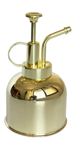 17 OZ gold color water bottle