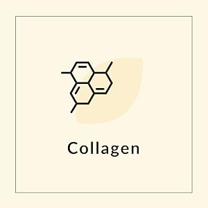 collagen collagen stem cell