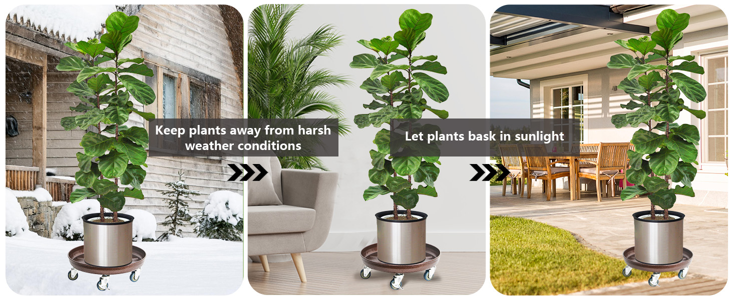 indoor pot tray