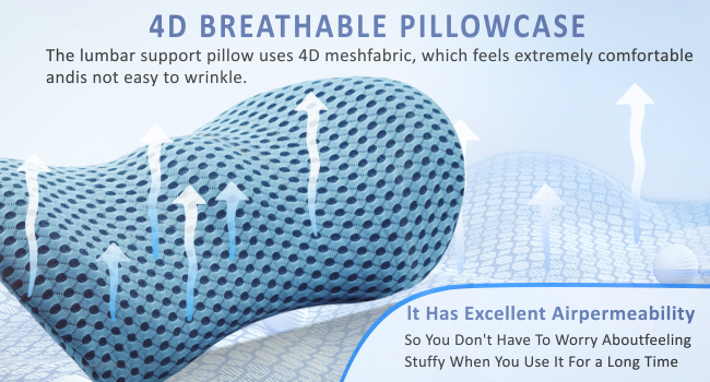 Lumbar Support Pillow