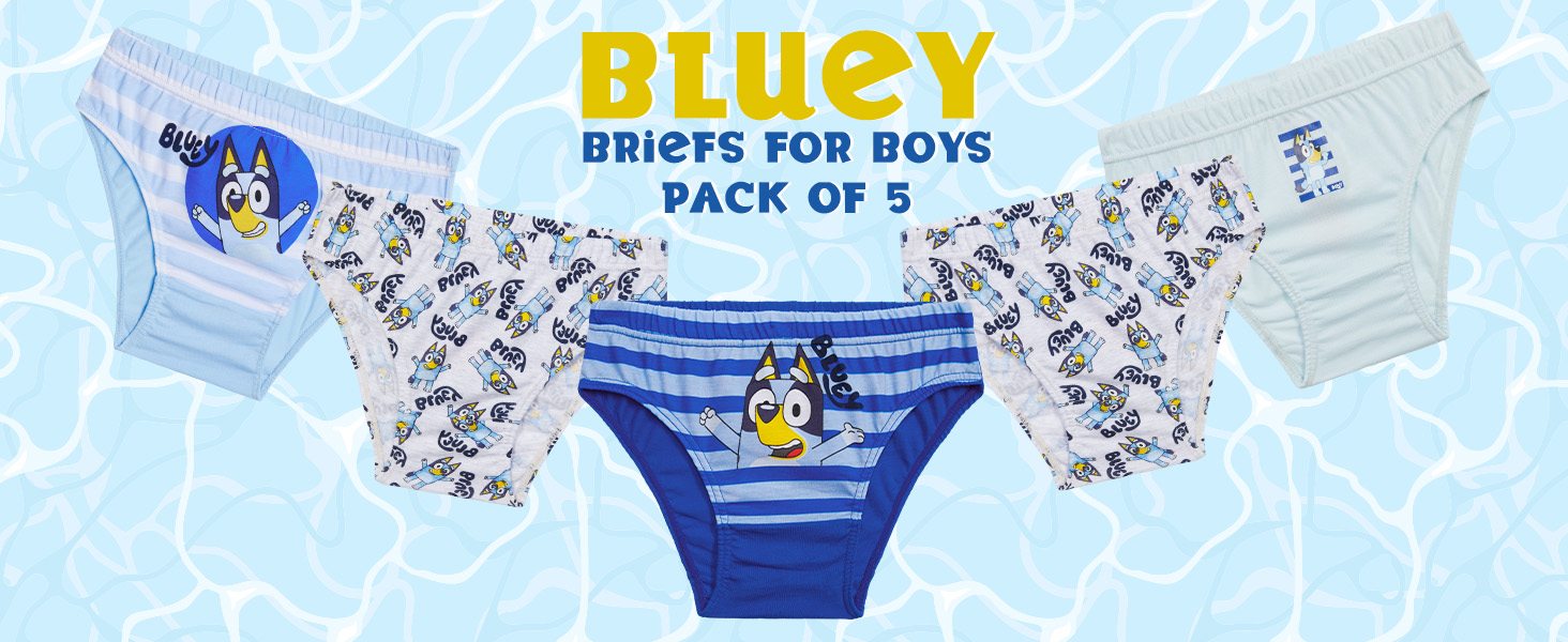 Bluey Boys Briefs, Comfortable Soft Breathable Underwear