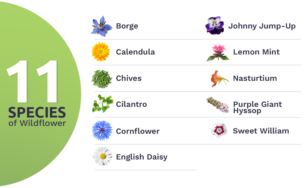 Wildflower Seeds Edible Flowers Mix 1 Ounce Over 7,000