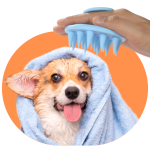 Escova Massageadora de Couro Cabeludo