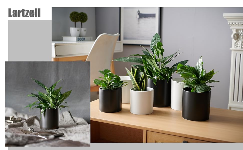 plant pot planter
