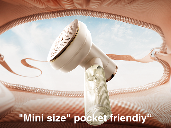 portable iron