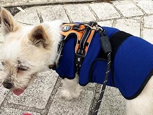 Wearing harness over vest