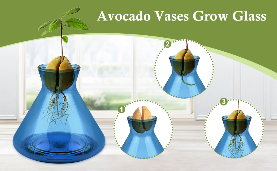 Emsiok Avocado Seed Starter Vases, Avocado Vases Grow