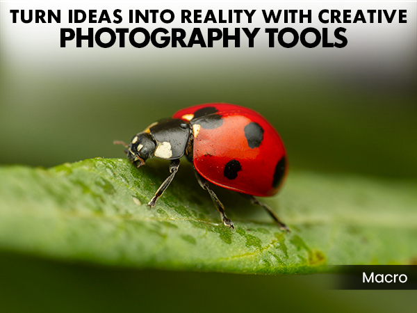 MND23 Macro Mode Creative Features