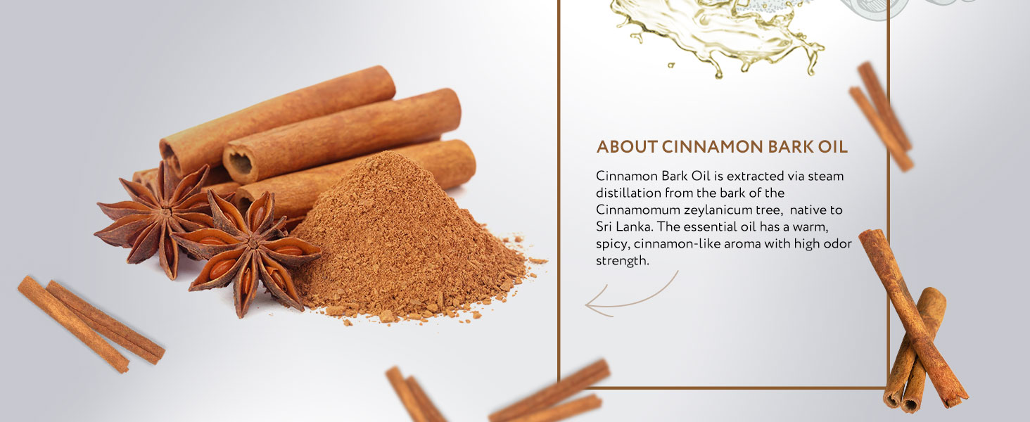 HBNO Organic Cinnamon Bark Essential Oil - 1 oz - For Diffusers, Cleaning & More 731d4545 F651 4e26 8f92 678e08be1543. CR0,0,1464,600 PT0 SX1464 V1