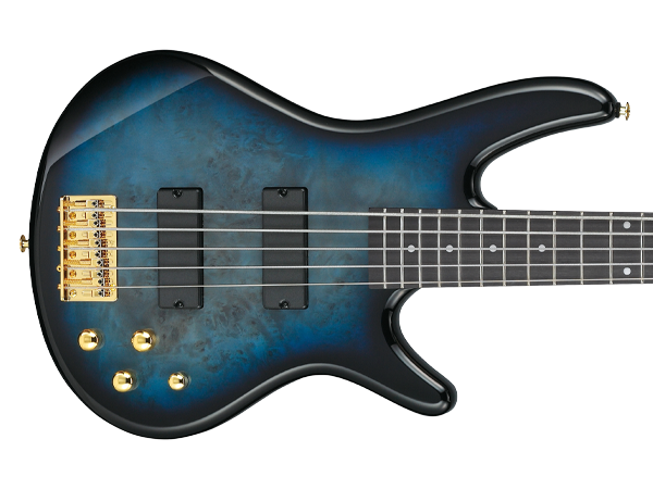 Amazon.com: Ibanez GSR205PC GIO 5-String Bass Guitar
