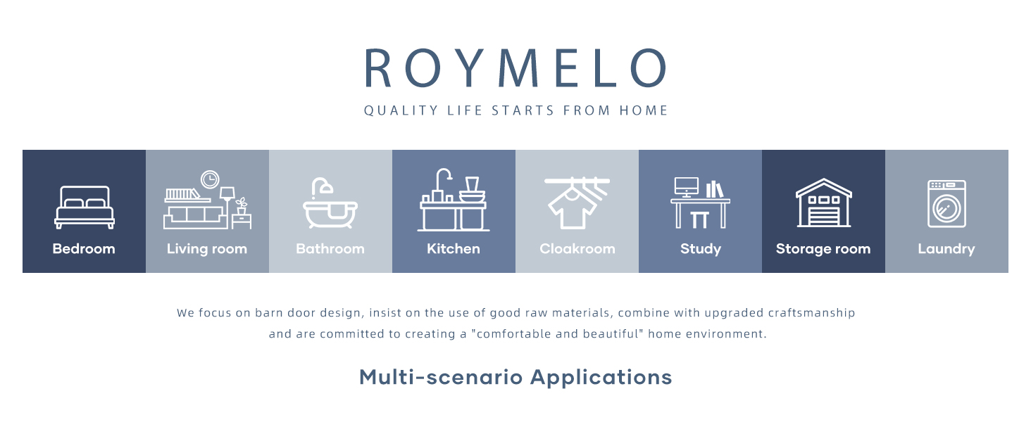 roymelo glass barn door only