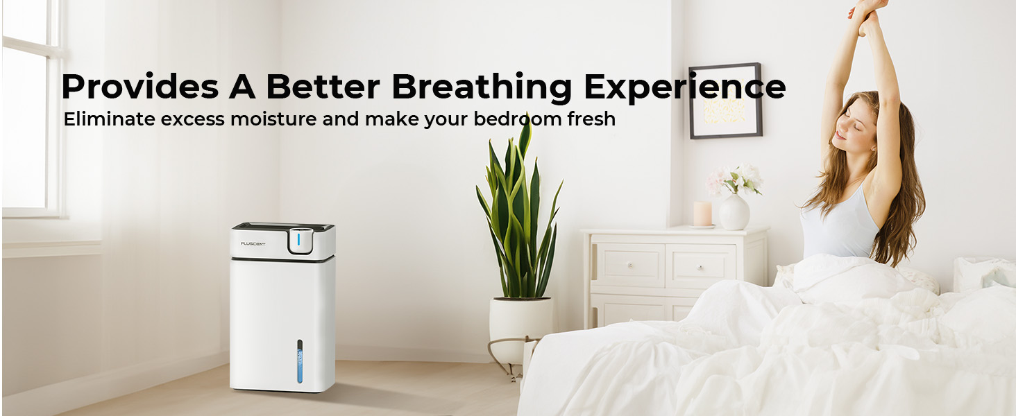 PLUSCENT Dehumidifiers for Bedroom